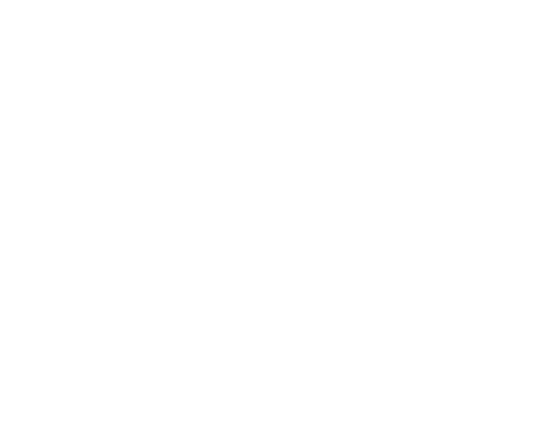LOCAL SERVICE